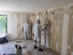 Best Industrial Mold Remediation  in Seminole, FL